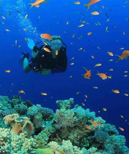 Diving in Sri Lanka
