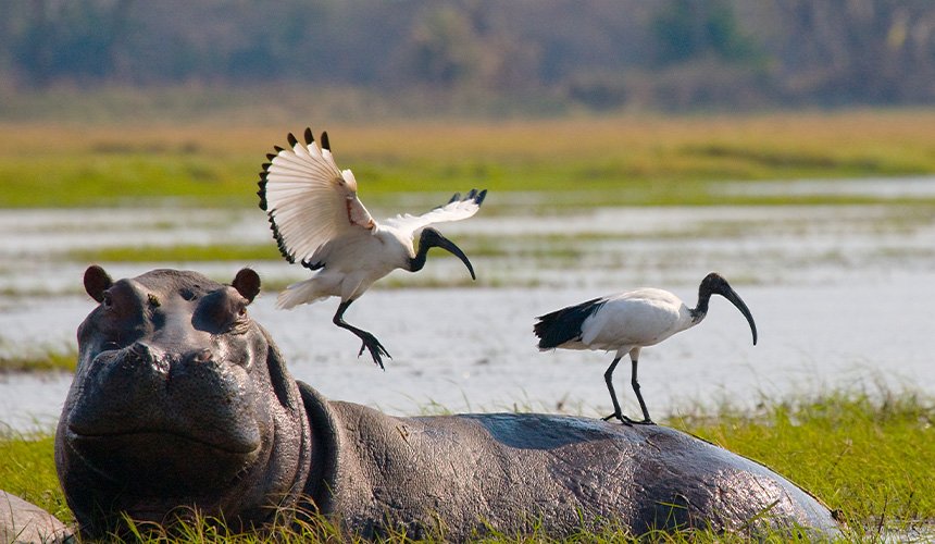 Yala National Park