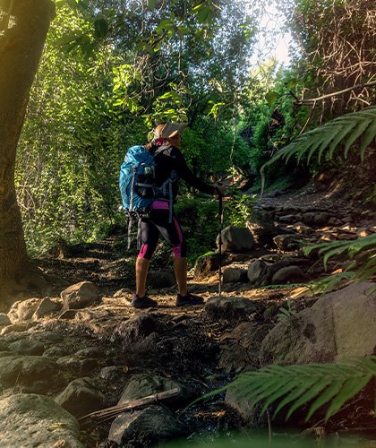 Hiking and Nature Walks in Sri Lanka