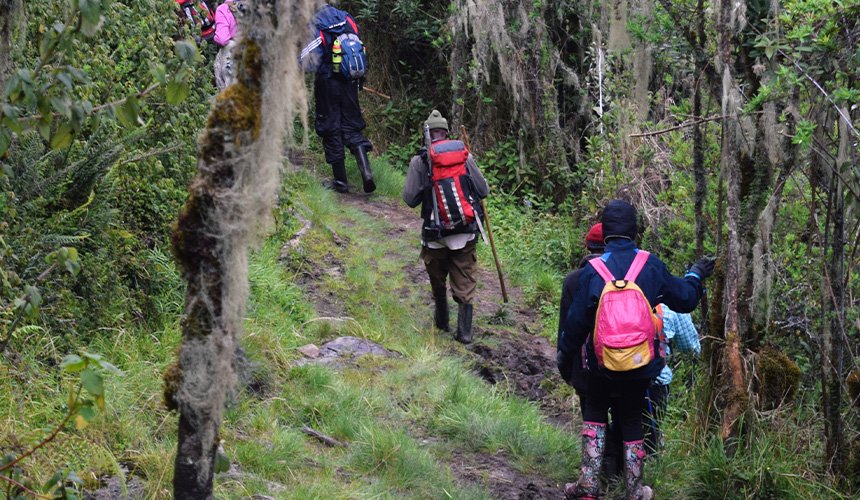 Hiking and Nature Walks in Sri Lanka