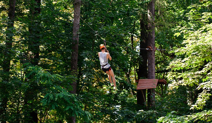 Rainforest Trails in Sri Lanka