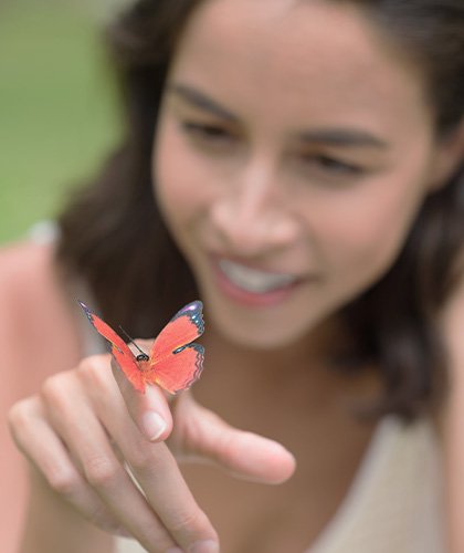 Butterfly Watching in Sri Lanka