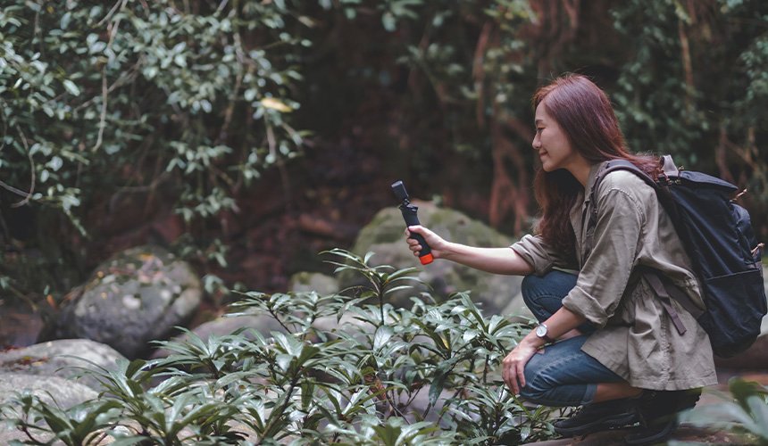 Fauna & Flora Study Tours