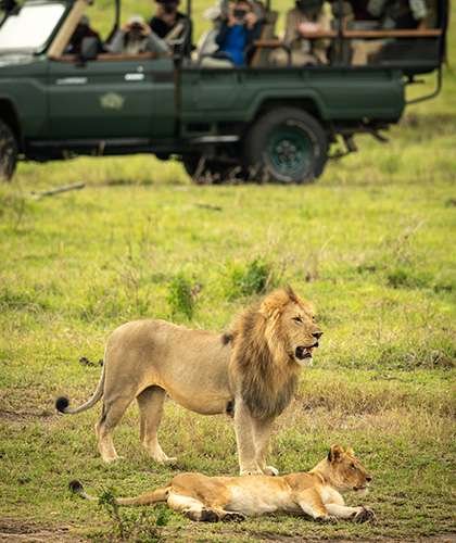 Wildlife Safaris in Sri Lanka