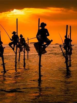 Fishing Tour