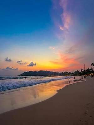 Beach Tours
