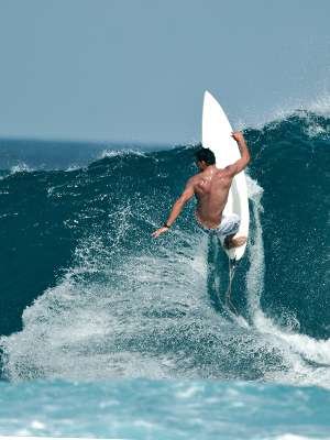 Surfing Tour