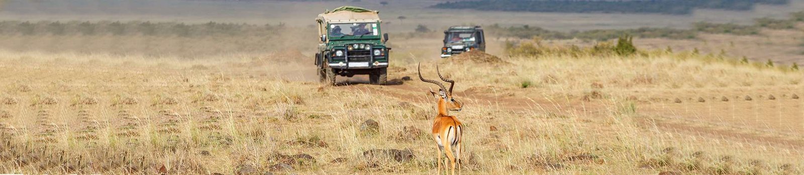 Wildlife Safaris in Sri Lanka