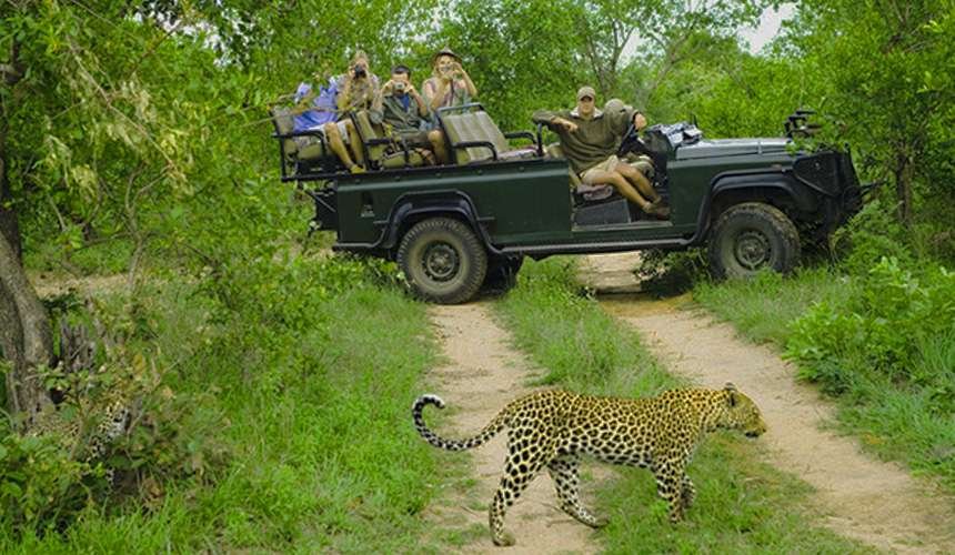 Wildlife Safaris in Sri Lanka