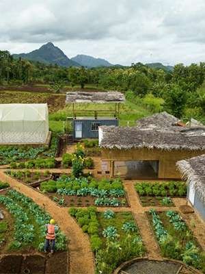 Farm Stay Trip
