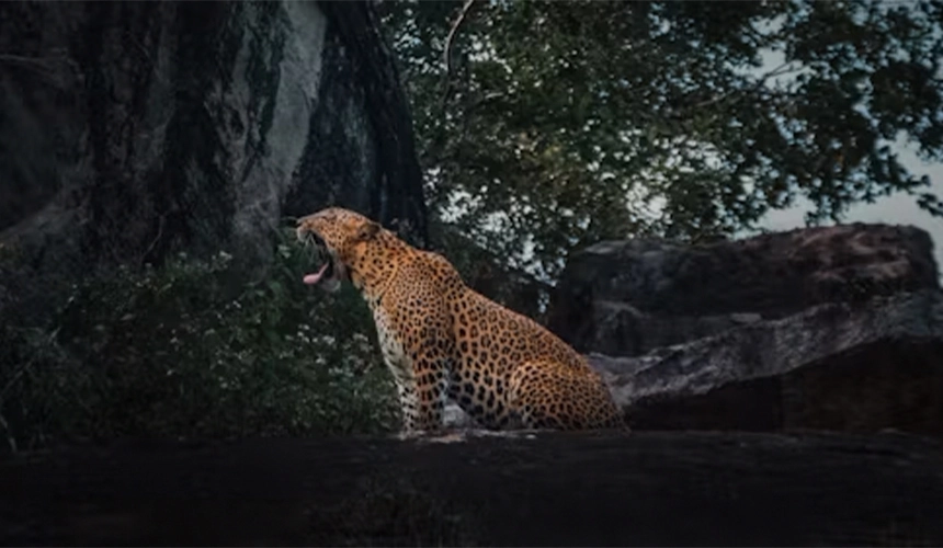 Yala National Park