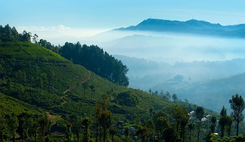 Nuwara Eliya