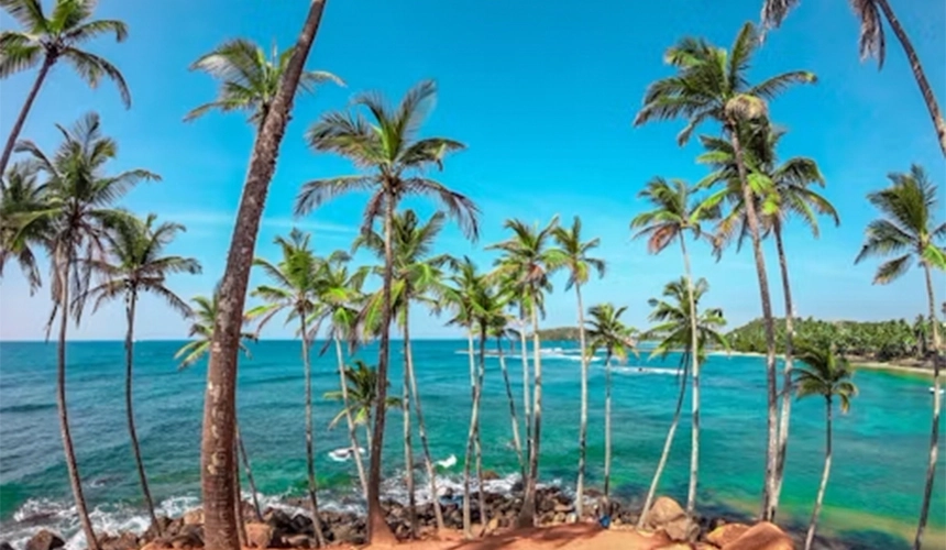 Mirissa Beach