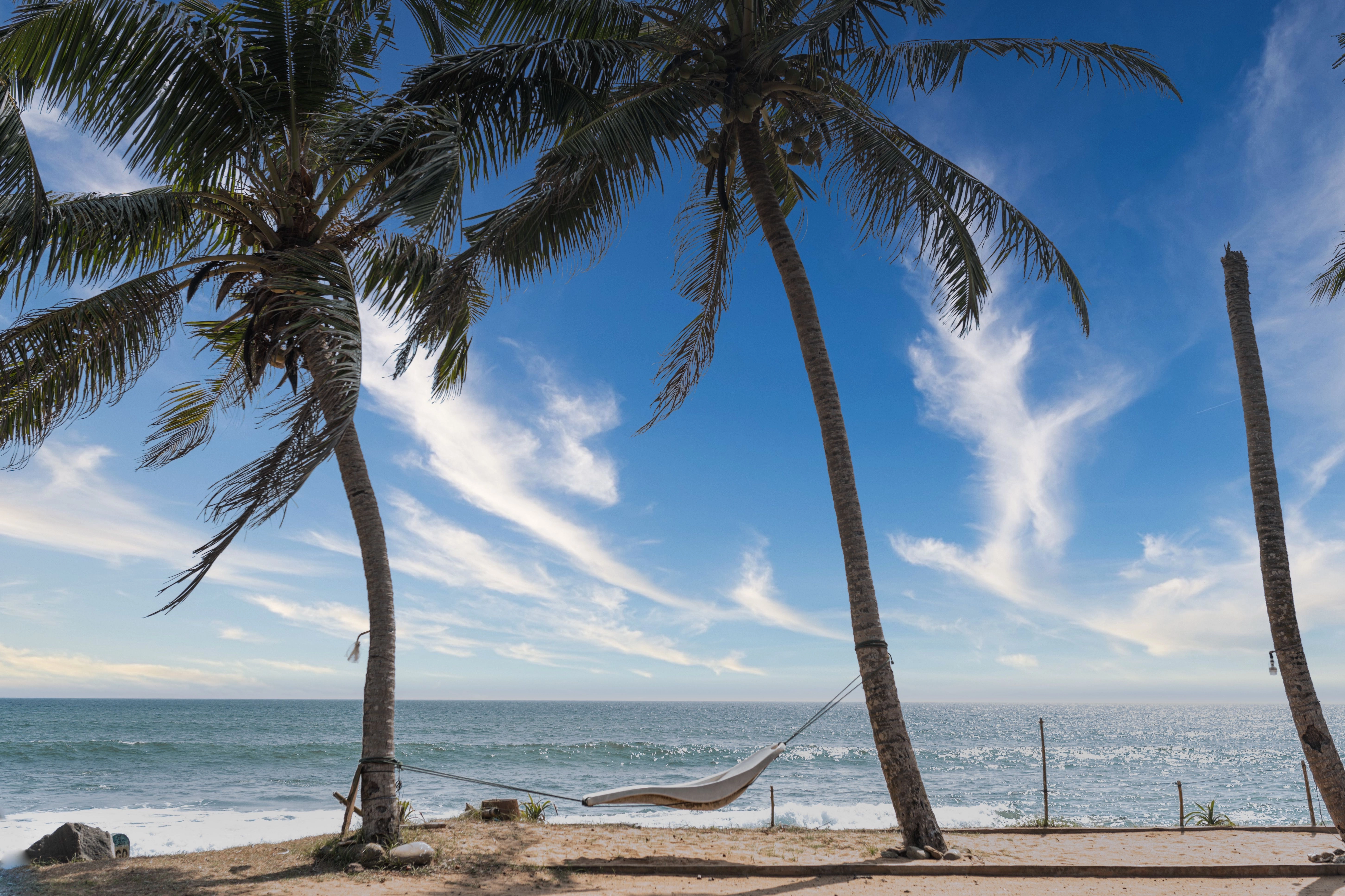 Corporate team enjoying a business travel experience in Sri Lanka with outdoor activities, meetings, and team-building advent